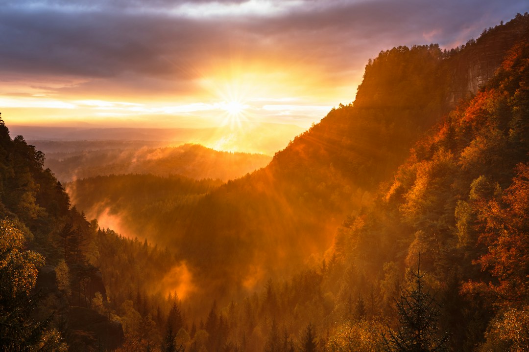 Beautiful nature landscape with mountains, forest, and golden sunlight