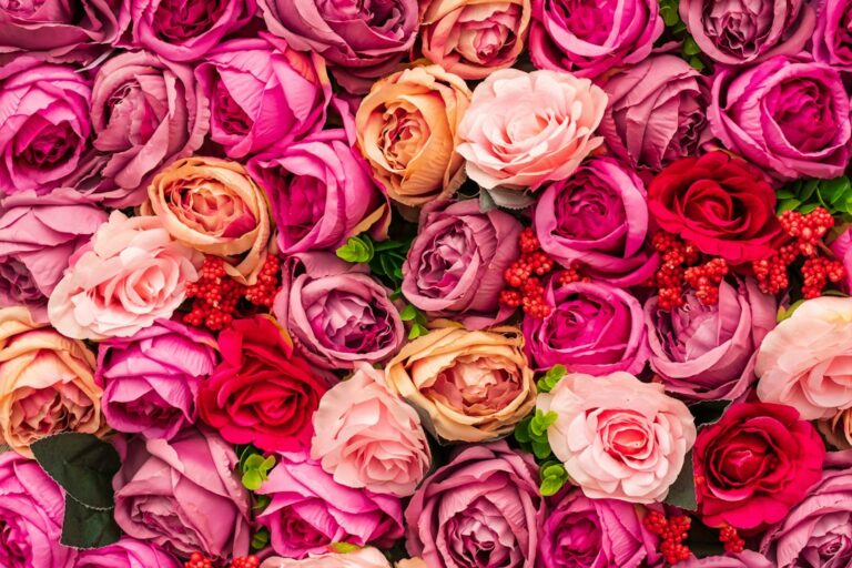 55+ Beautiful Similes for Love With Examples